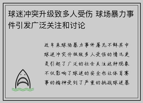 球迷冲突升级致多人受伤 球场暴力事件引发广泛关注和讨论