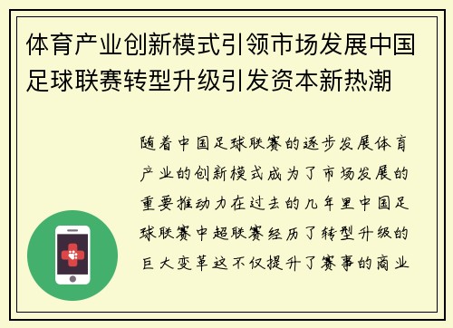 体育产业创新模式引领市场发展中国足球联赛转型升级引发资本新热潮