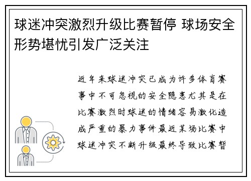 球迷冲突激烈升级比赛暂停 球场安全形势堪忧引发广泛关注