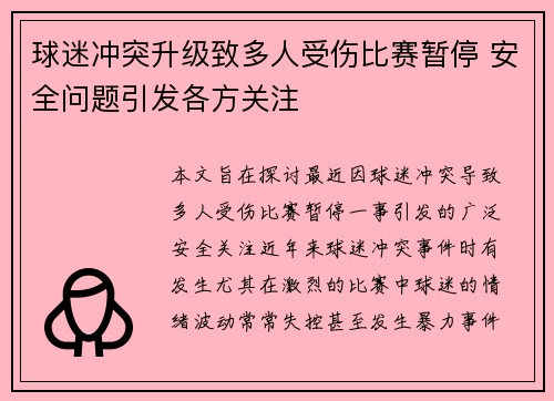 球迷冲突升级致多人受伤比赛暂停 安全问题引发各方关注
